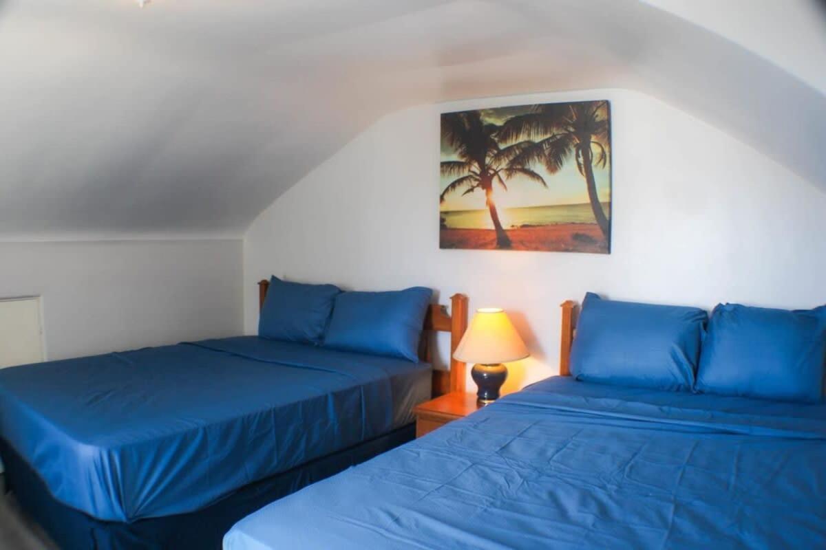 Newly Renovated 2-Bed Near Downtown-North Shore بيتسبرغ المظهر الخارجي الصورة